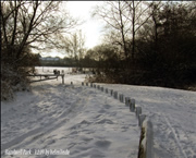 Hazelwell Park Helenlinda